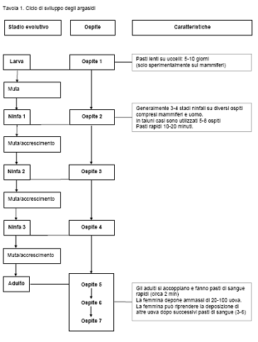 Ciclo vitale