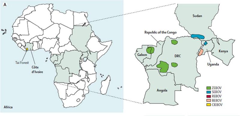 Ebola map