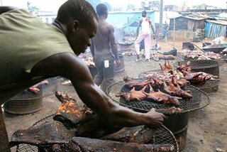 People eating fruit bats