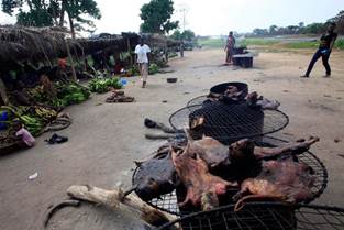 People eating fruit bats