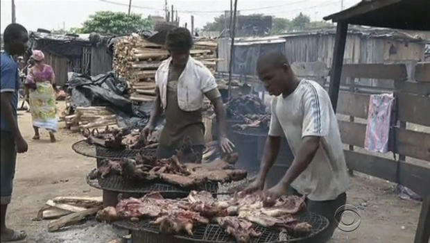 People eating fruit bats