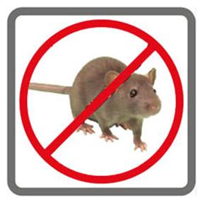 Prevenzione hantavirus