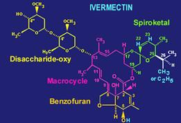 Oncocercosi Oncocercosi