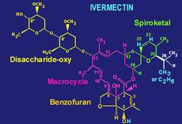 Oncocercosi