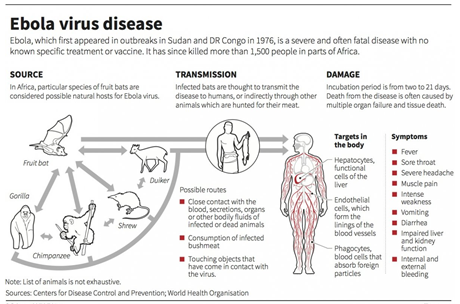 Ebola table