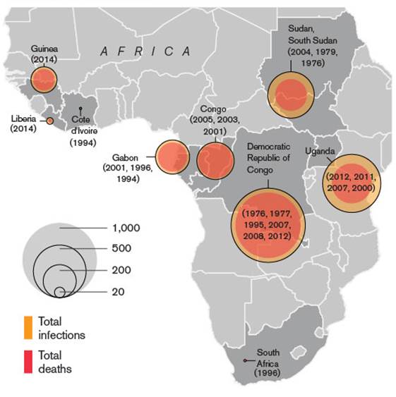 Epidemiology Ebola