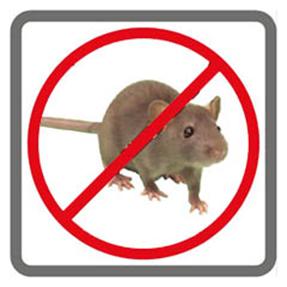 Prevenzione hantavirus Prevenzione hantavirus