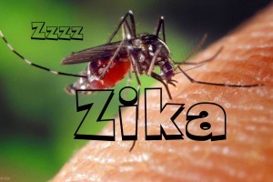 Zika virus